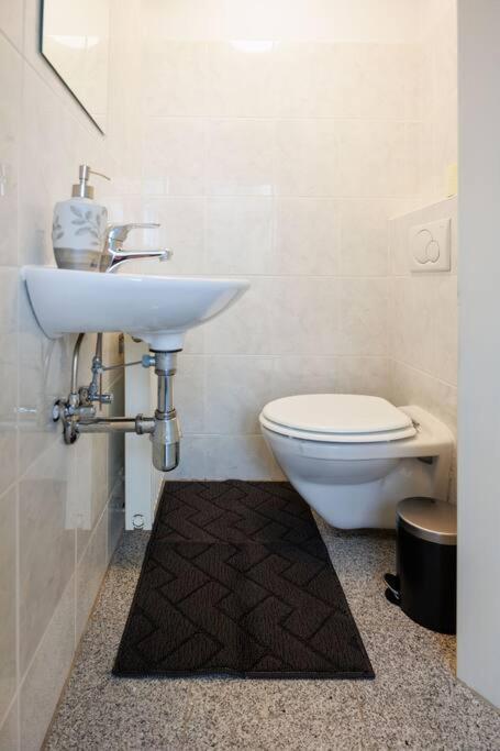 Scenic Rooftop Flat With Terrace Виена Екстериор снимка